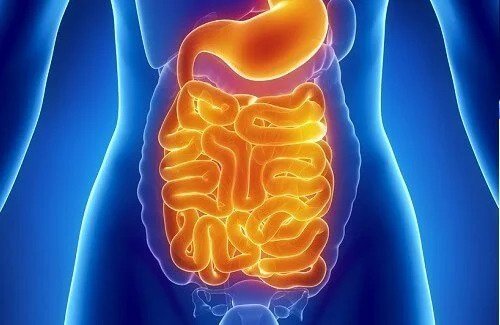 Colon Hydrotherapy